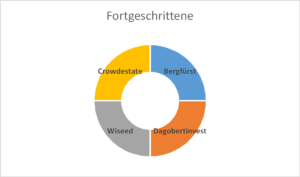 fotgeschrittene portfolio aufetilung