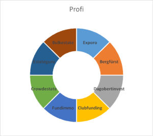 profi portfolio aufteilung